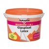 alabastine muurverf 2in1 gipsplaat latex 5 ltr