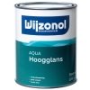 wijzonol aqua hoogglans kleur 2.5 ltr