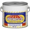 Werdol loopdekkenverf zwart 2 ltr